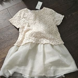Gap two Toned lace and tulle dress